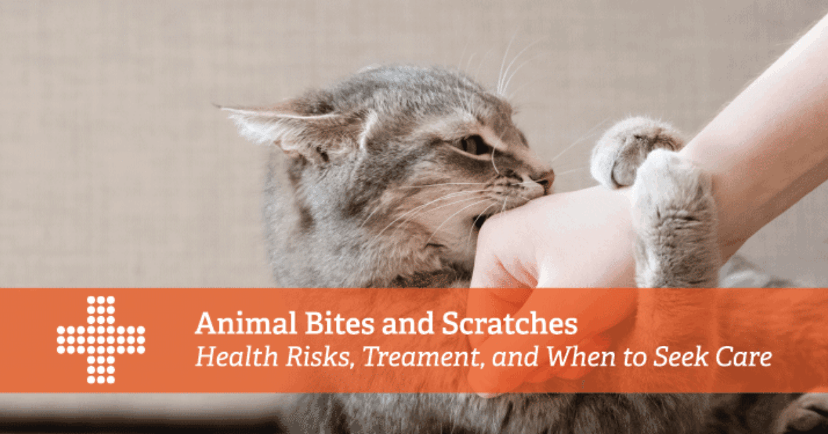 Treatment of Animal Bites and Scratches | Patient Plus