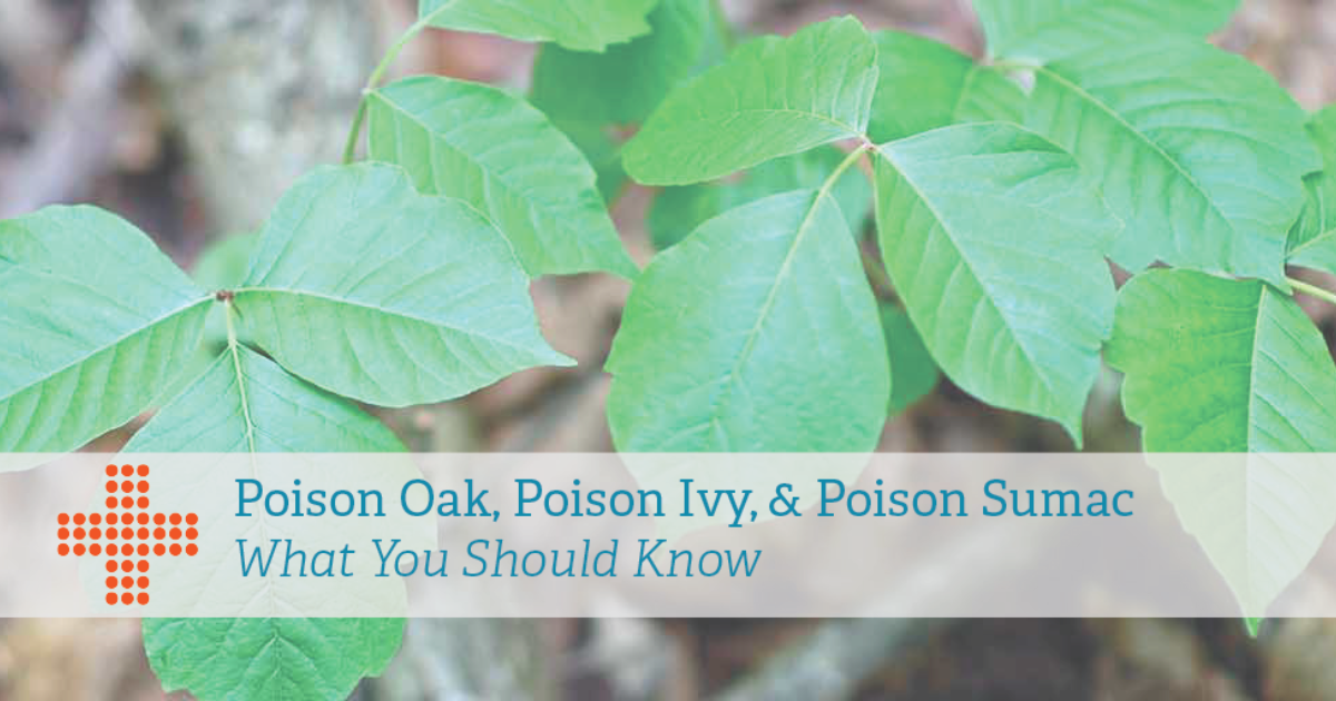 Poison Oak Poison Ivy And Poison Sumac What To Know Patient Plus 7055