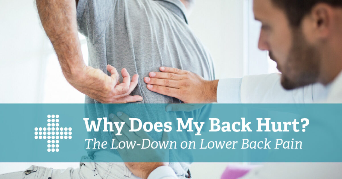 Why Does My Back Hurt? The LowDown on Lower Back Pain Patient Plus